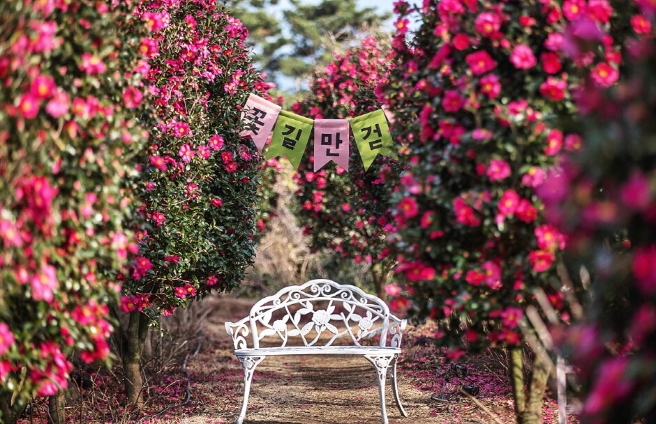 1월 전국 축제 일정표