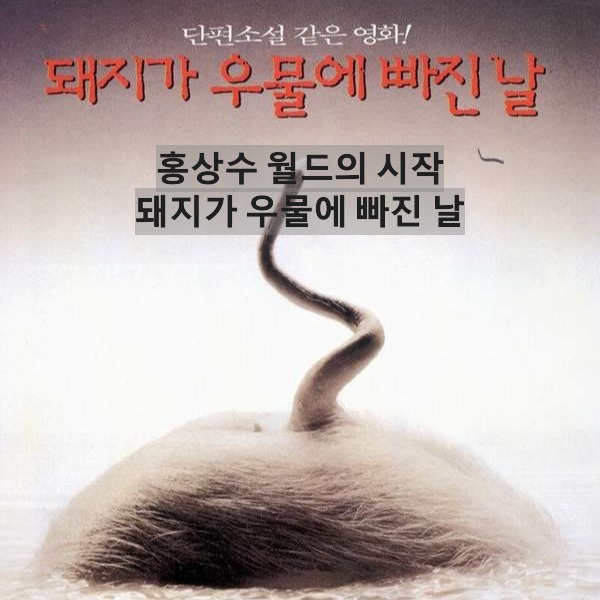 돼지가 우물에 빠진 날-The Day a Pig Fell Into a Well