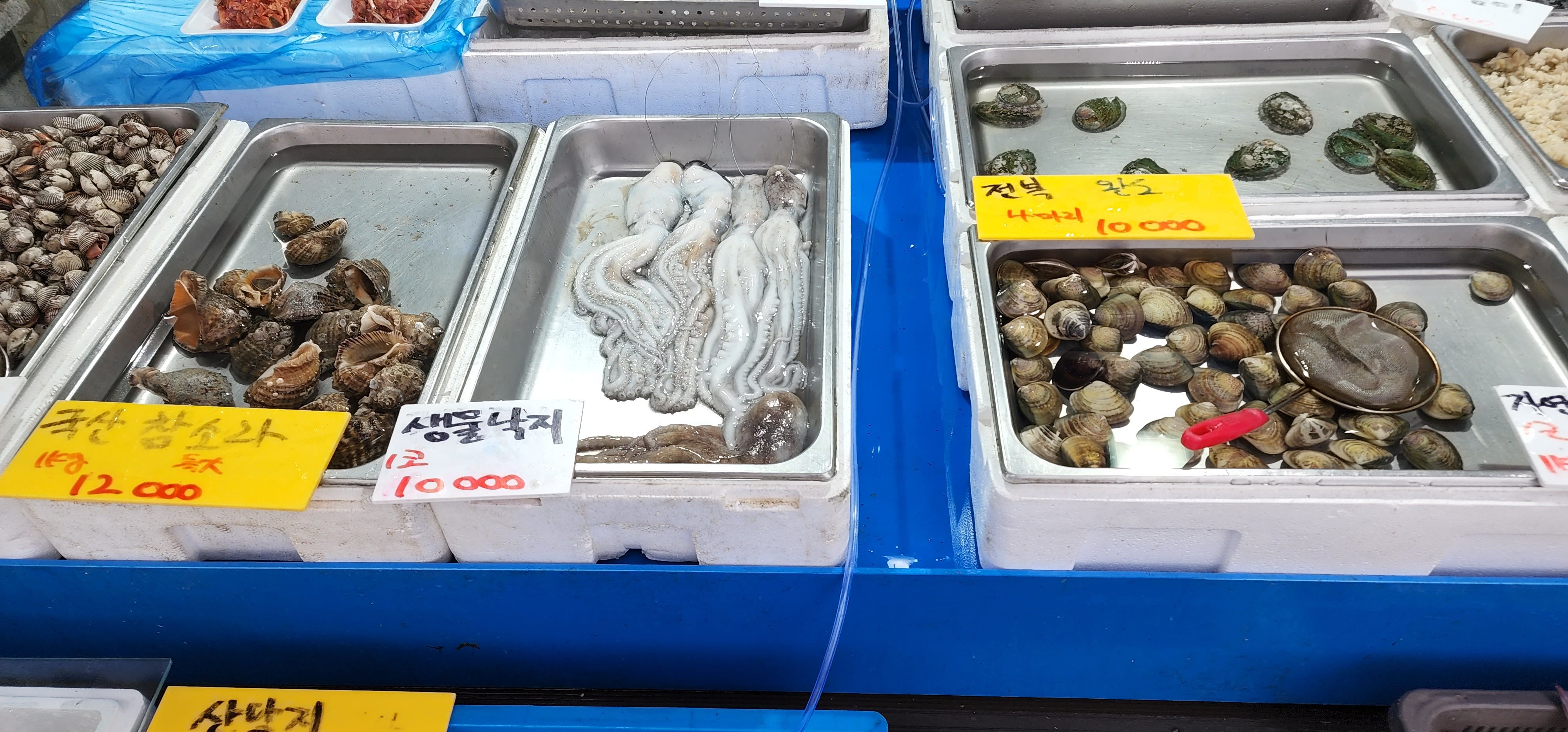 싱싱회수산_세진이네_01