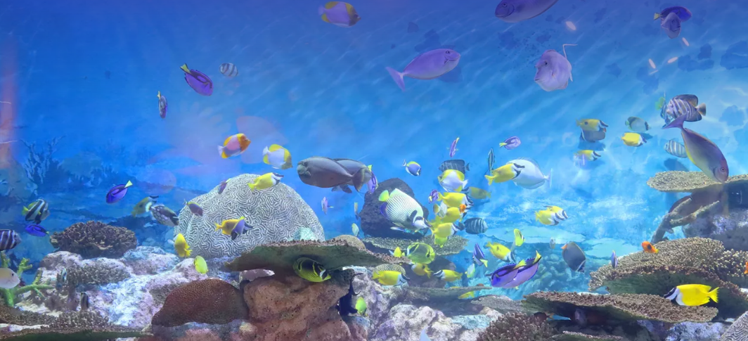 2024 수능 수험생 놀이공원 - 코엑스 아쿠아리움