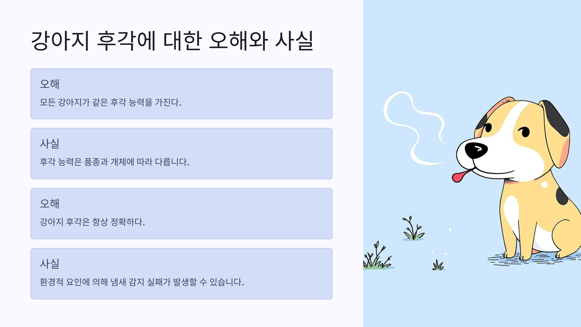 강아지 후각에 대한 오해