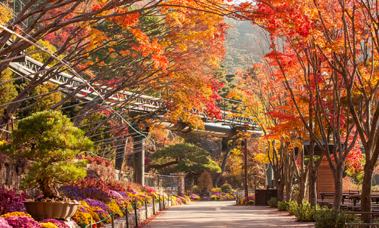 화담숲 모노레일