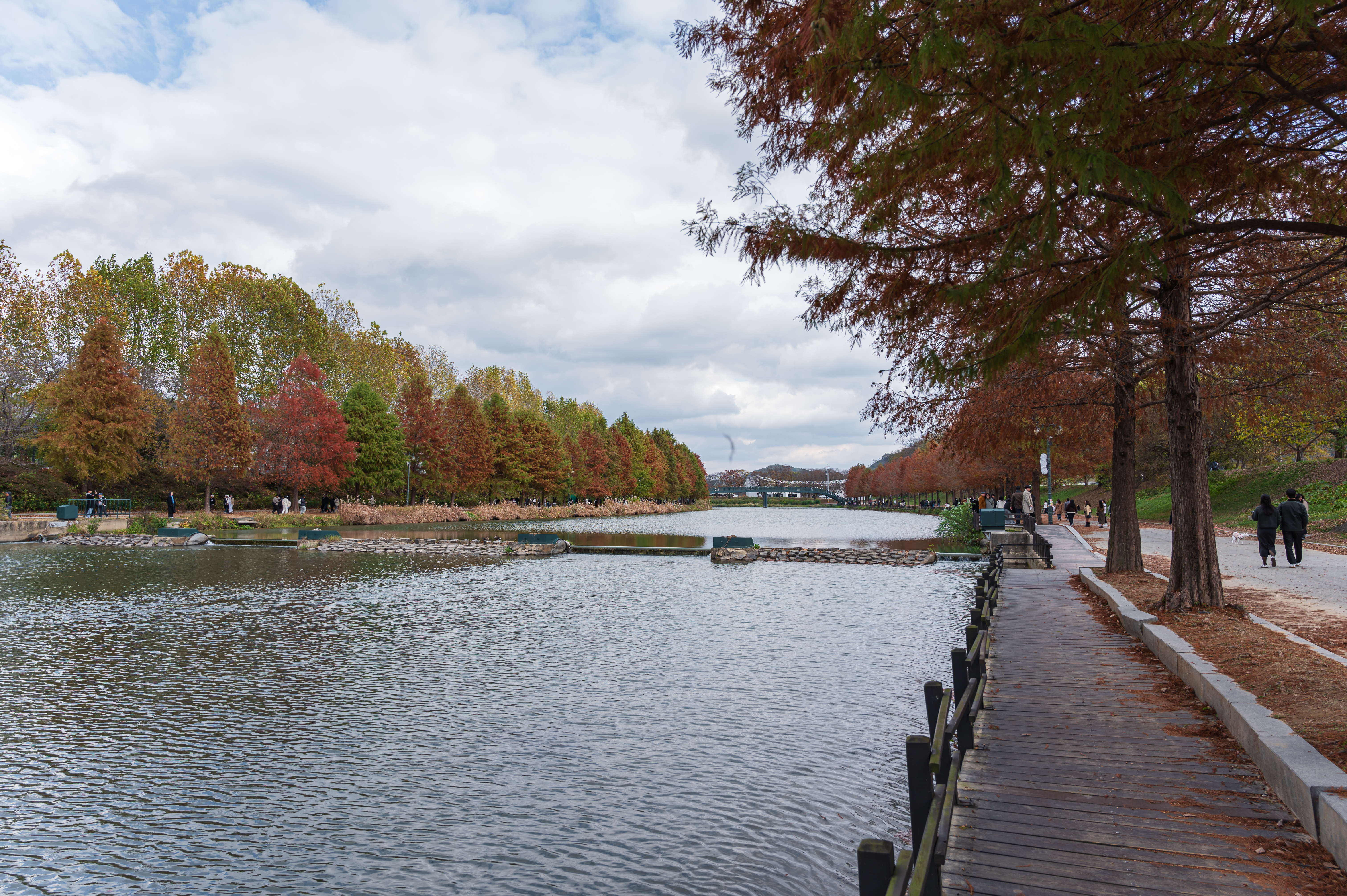 ๋ด์ ๊ด๋ฐฉ์ ๋ฆผ