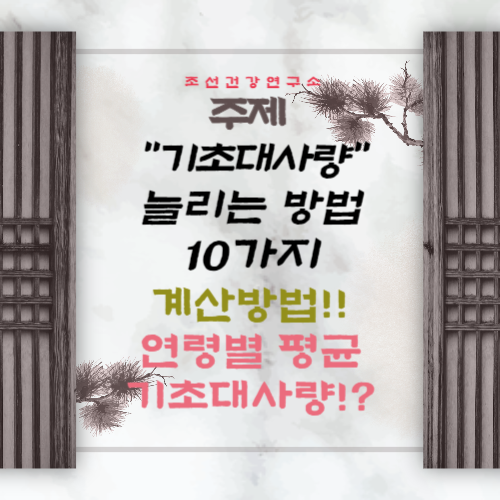 기초대사량 늘리는 방법 10가지 여자 남자 기초대사량 평균 계산법