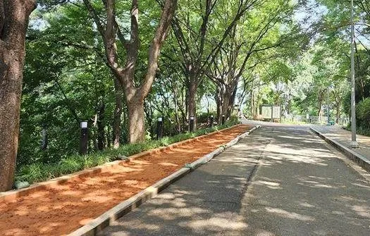 맨발걷기 좋은 길