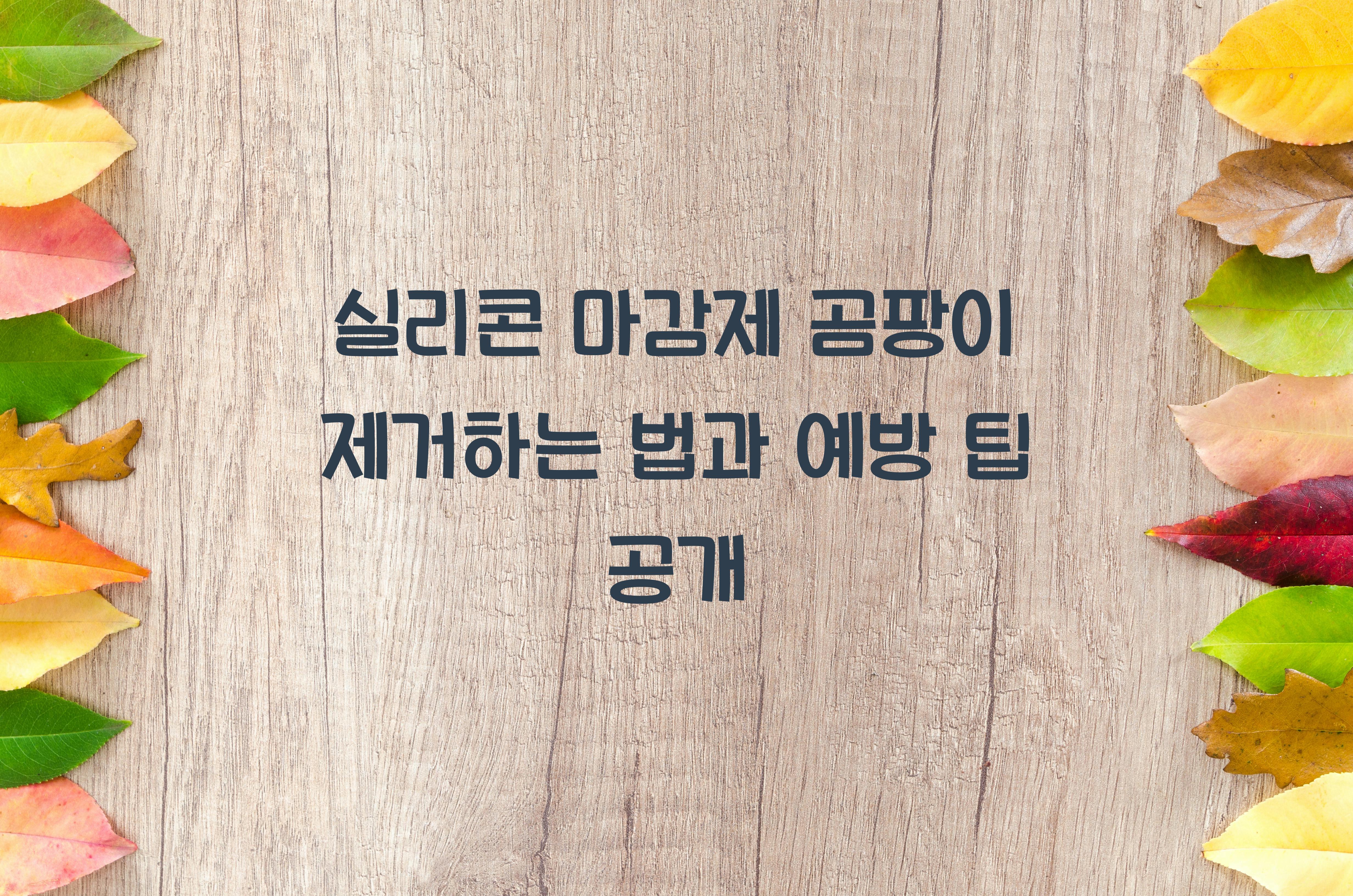실리콘 마감제 곰팡이 제거하는 법