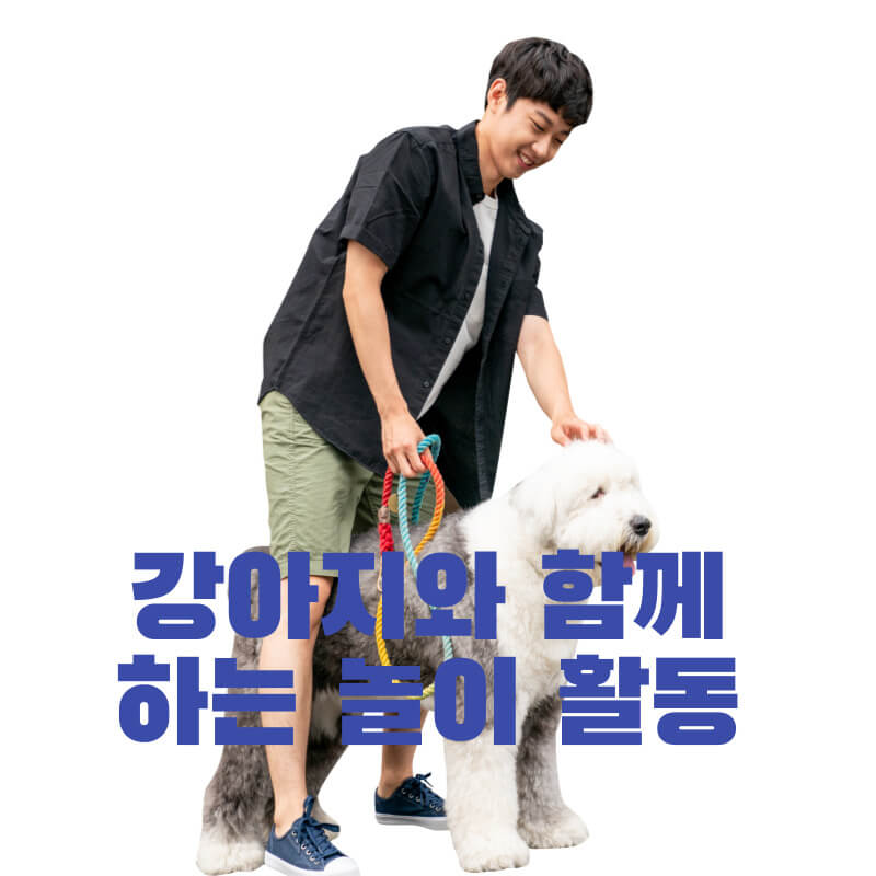 강아지와 함께하는 놀이 활동