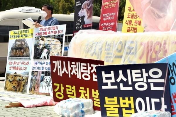 개식용 금지