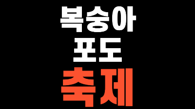 향수 옥천 포도 복숭아 축제 2026 가수