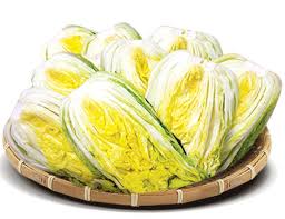 2024 절임배추 예약방법 기간 홈플러스 이마트 롯데마트 해남배추 괴산배추