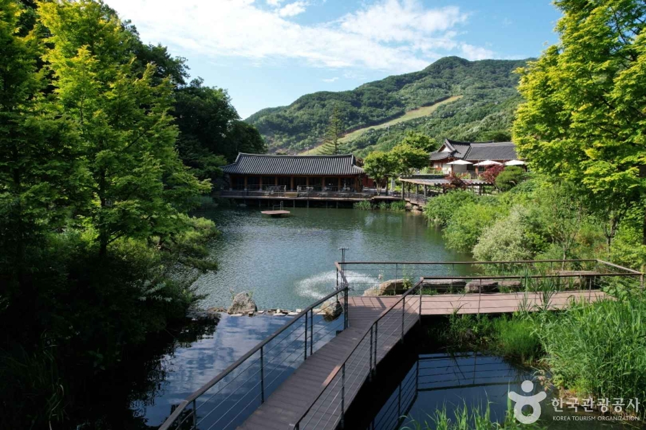화담숲 연못과 데크길