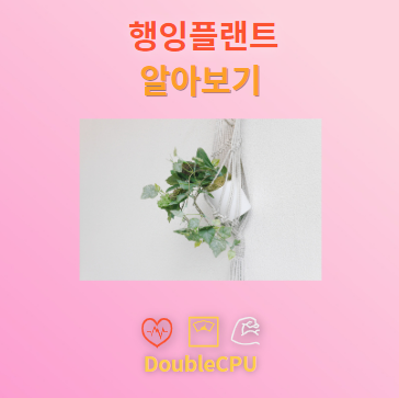 행잉플랜트 탐구