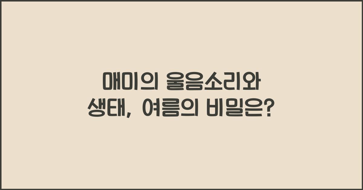 매미의 울음소리와 생태