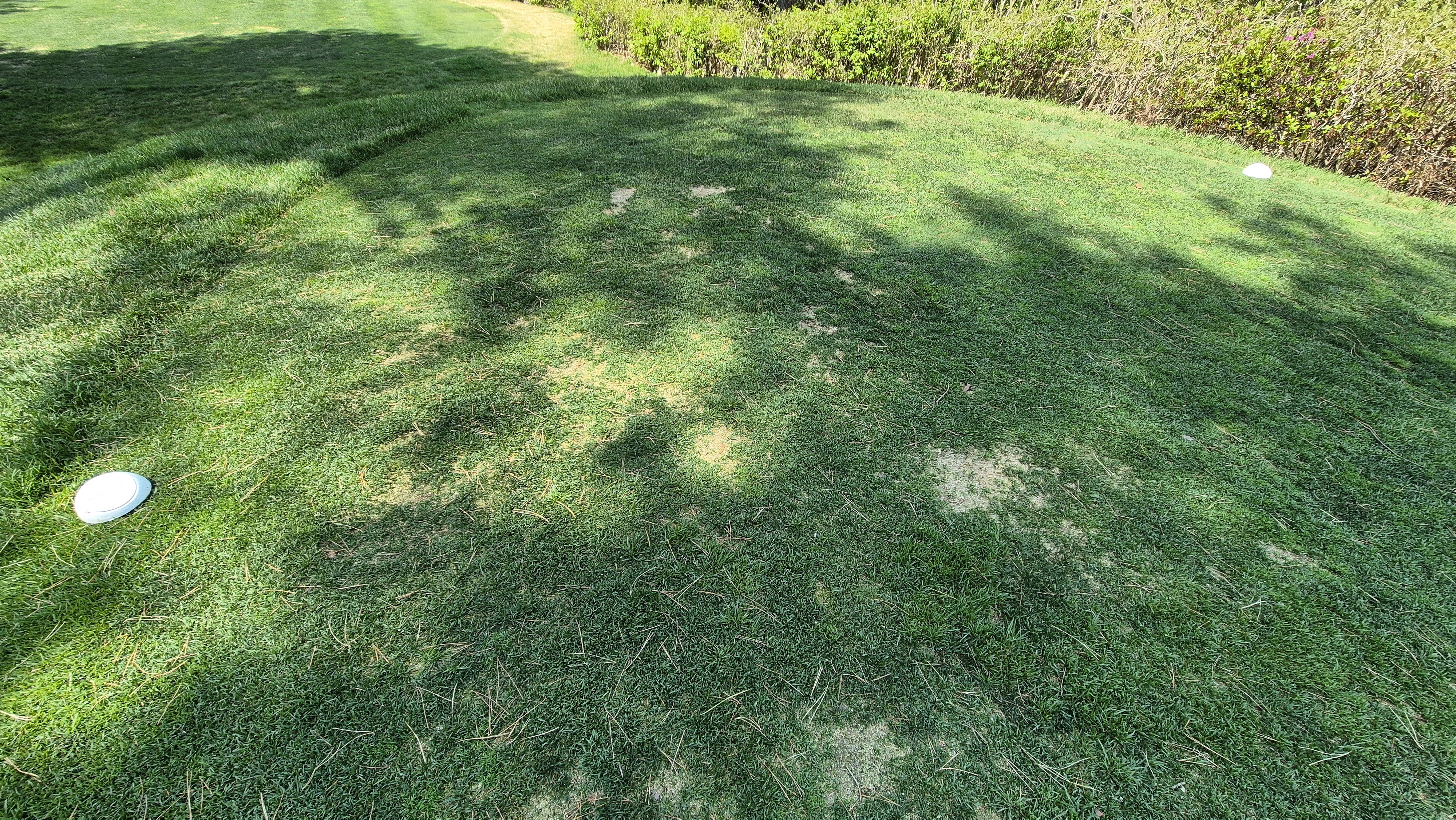 소노펠리체cc 비발디파크 웨스트