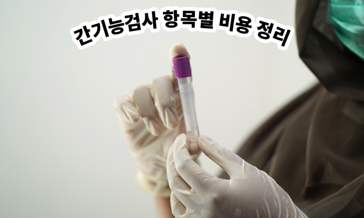 간기능검사 항목별 비용 정리