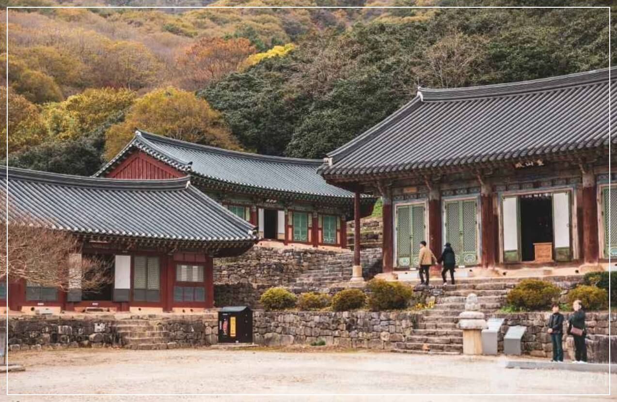 고창 가볼만한곳 베스트10 선운사