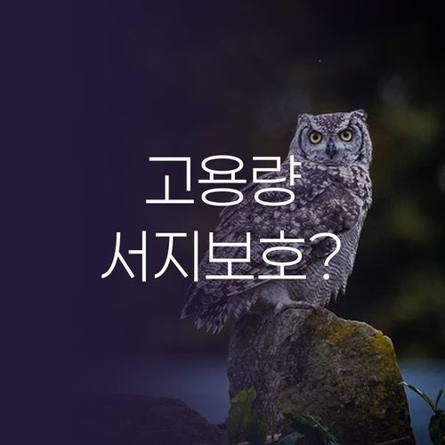 고용량 멀티탭, 서지보호 필립스와 감..