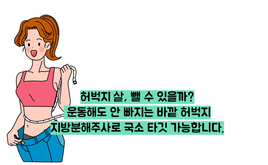 지방분해 주사