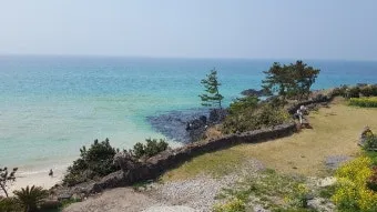 제주 아쿠아플라넷 입장료 할인정보 및 볼거리 소개_11