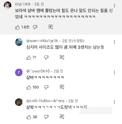 보라색-샅바