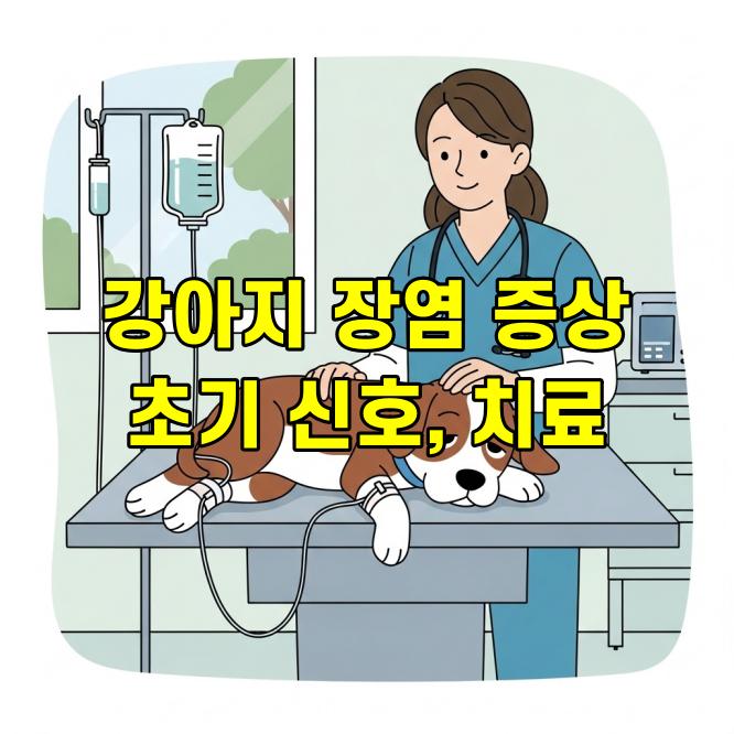 강아지 장염 증상, 초기 신호부터 치료·예방까지 완벽 가이드
