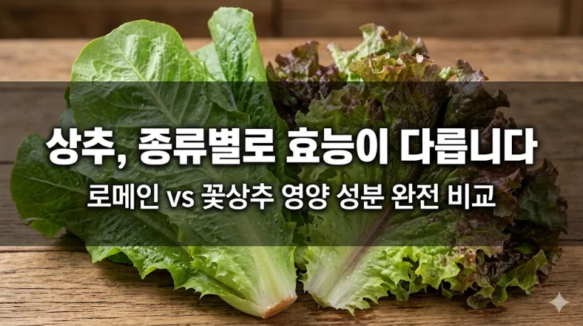 "나무 테이블 위에 놓인 신선한 로메인과 꽃상추와 상추 종류별 효능 비교 썸네일"