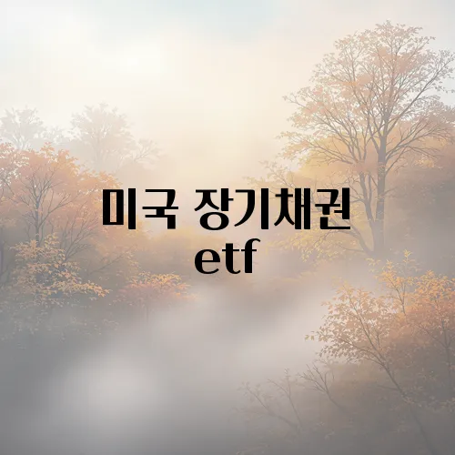 미국 장기채권 etf
