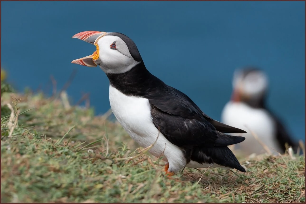 저축은행 정기예금 금리비교