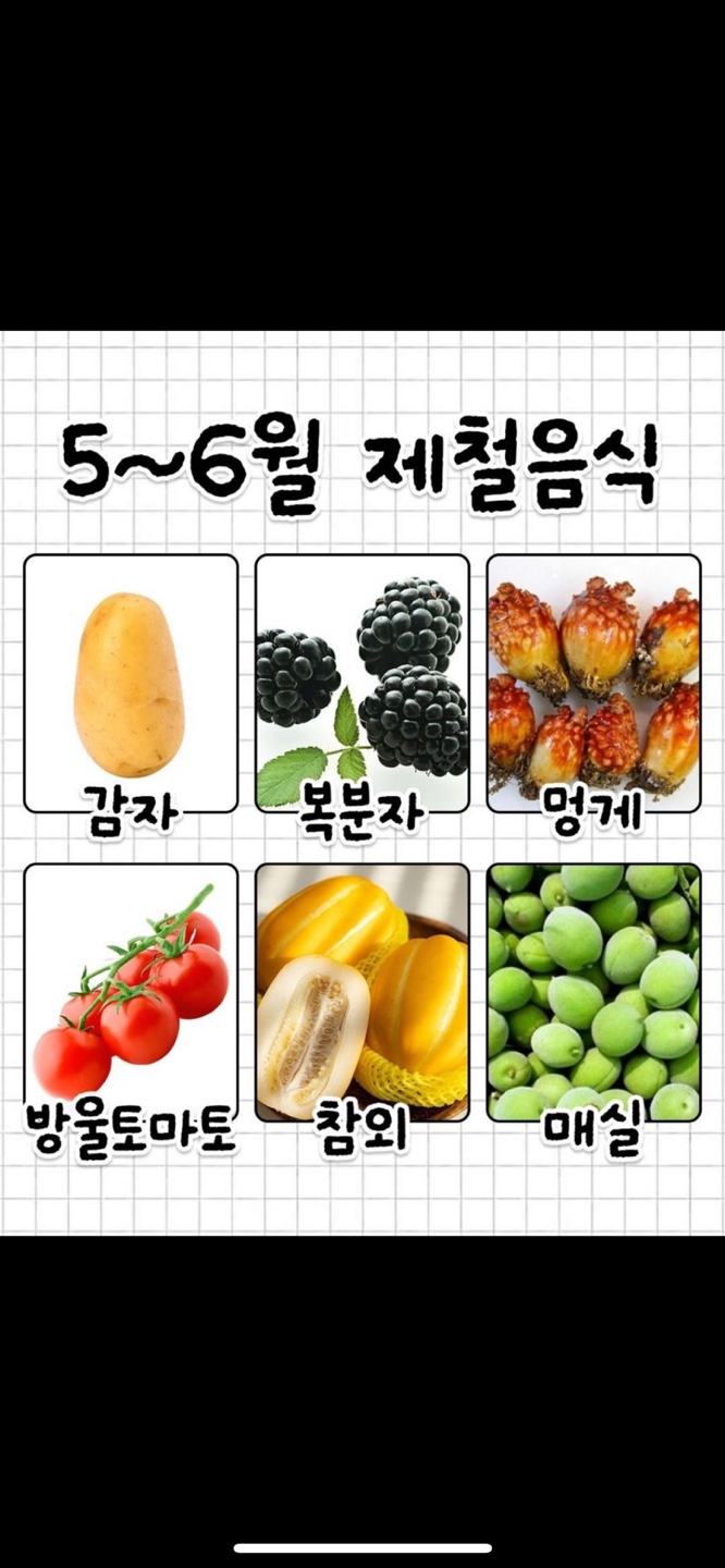 5월 6월 제철음식