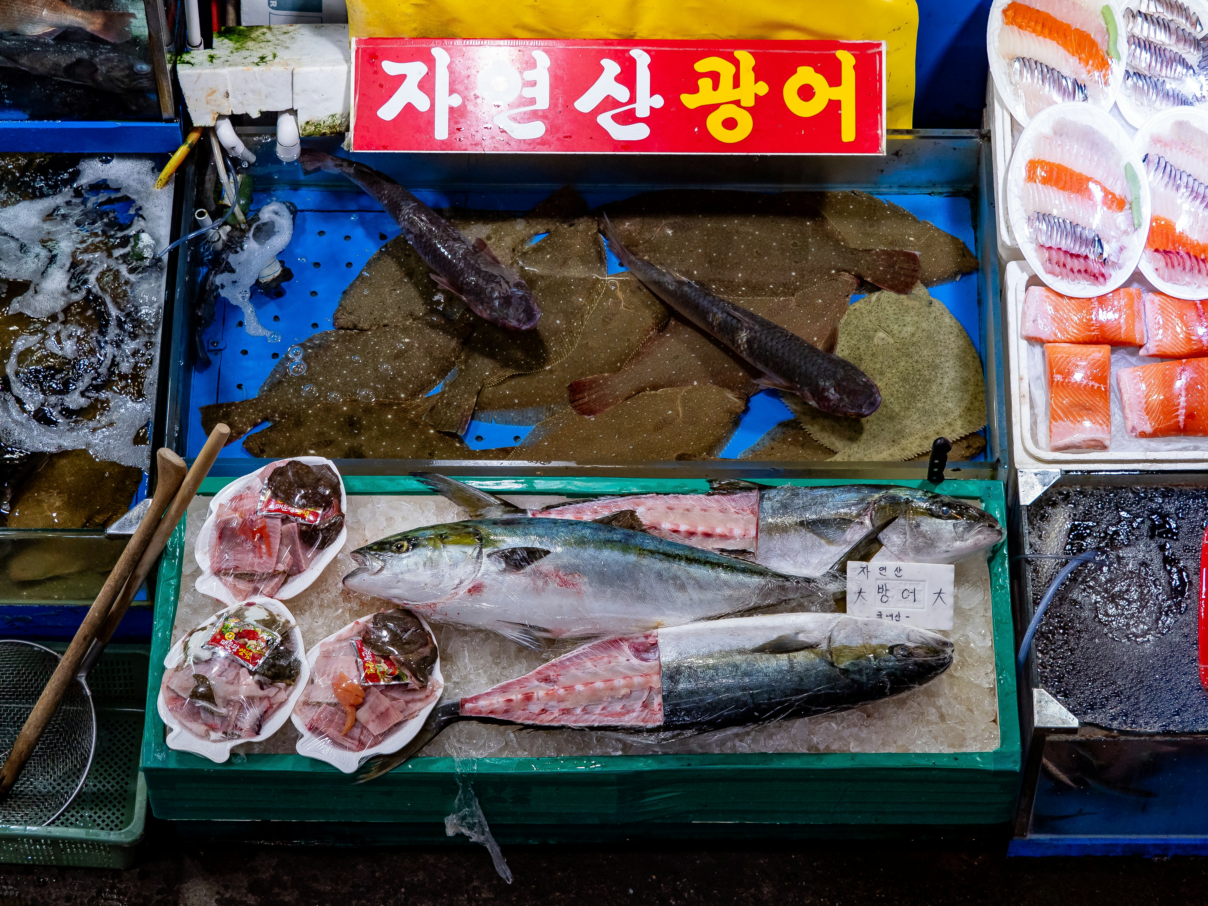 2026 -충북- 괴산군- 민생지원금- 신청방법-총정리- 지급대상·신청기간·사용처 완벽 가이드-4