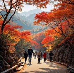 내장산단풍2