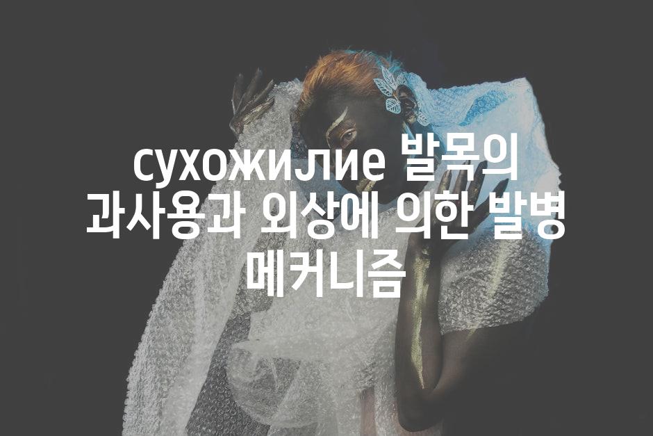 сухожилие 발목의 과사용과 외상에 의한 발병 메커니즘
