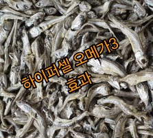 하이퍼셀오메가3-효능