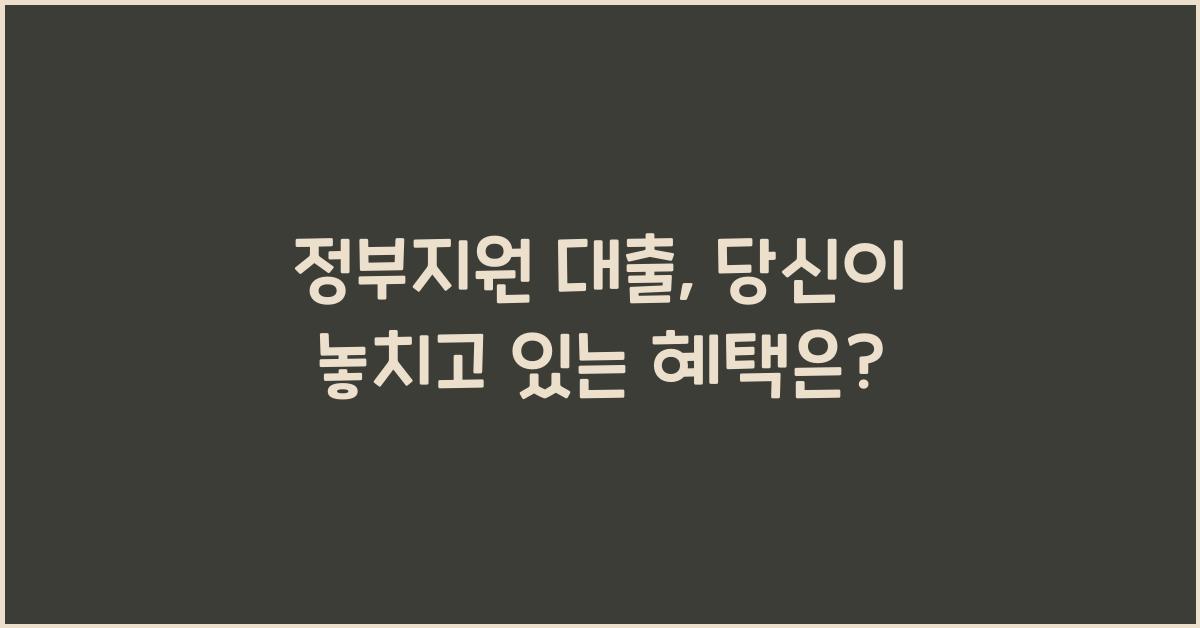 정부지원 대출