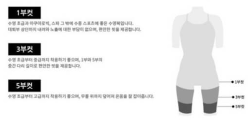 수영복 스타일 종류