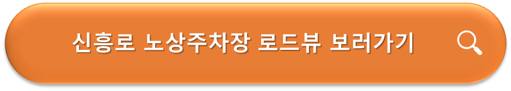 신흥로 노상주차장 로드뷰