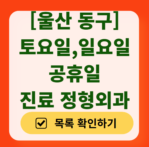 울산 동구 일요일 문 여는 정형외과 목록 ❘ 토요일, 주말, 공휴일 진료 영업 병원 리스트