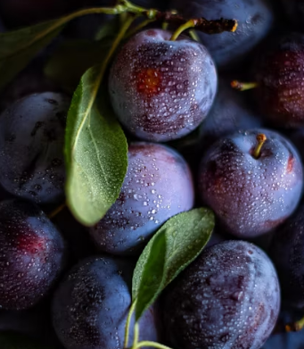 자두 효능 부작용 고르는법 칼로리