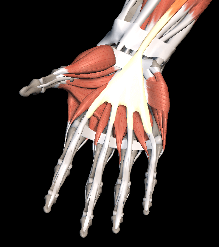 방아쇠 수지 증후군 치료