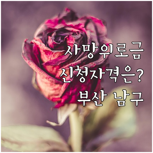 부산 남구 2025 참전유공자 사망위..