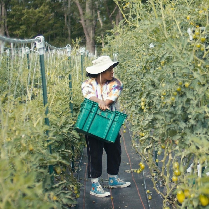 스카이하이팜웨어-컨버스-협업-척70-스니커즈-컬렉션