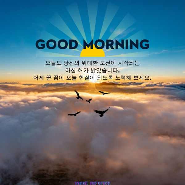 아침 인사로 좋은 글 이미지 아침 인사말 문구 모음