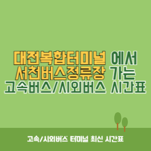 대전복합터미널에서 서천버스정류장 가는 시외버스 시간표 최신정보