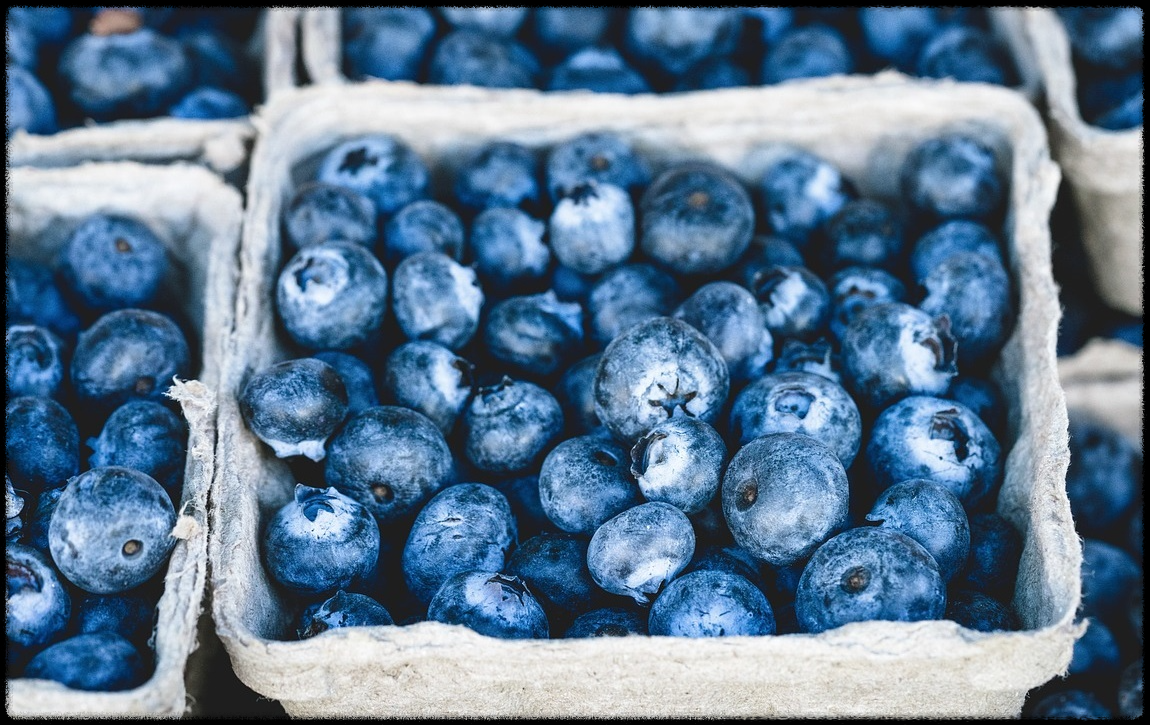 블루베리 효능 이미지_11
