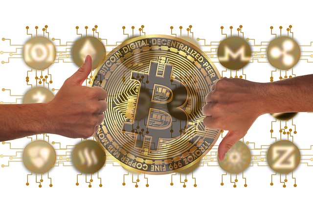 NFT와 비트코인 상승장의 상관관계
