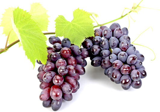 몸속-염증에-좋은-음식