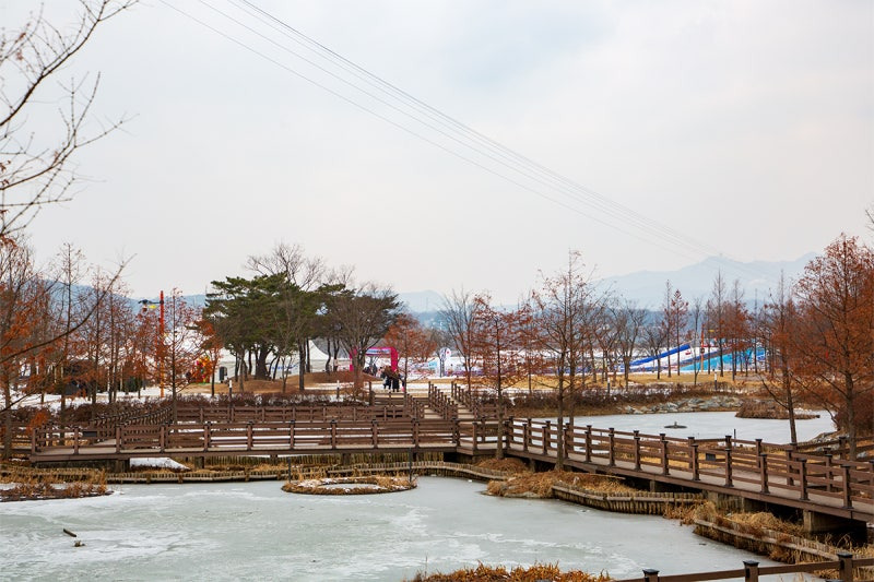 의왕 반려견 겨울 나들이 명소, 강아지와 함께 걷기 좋은 산책 코스