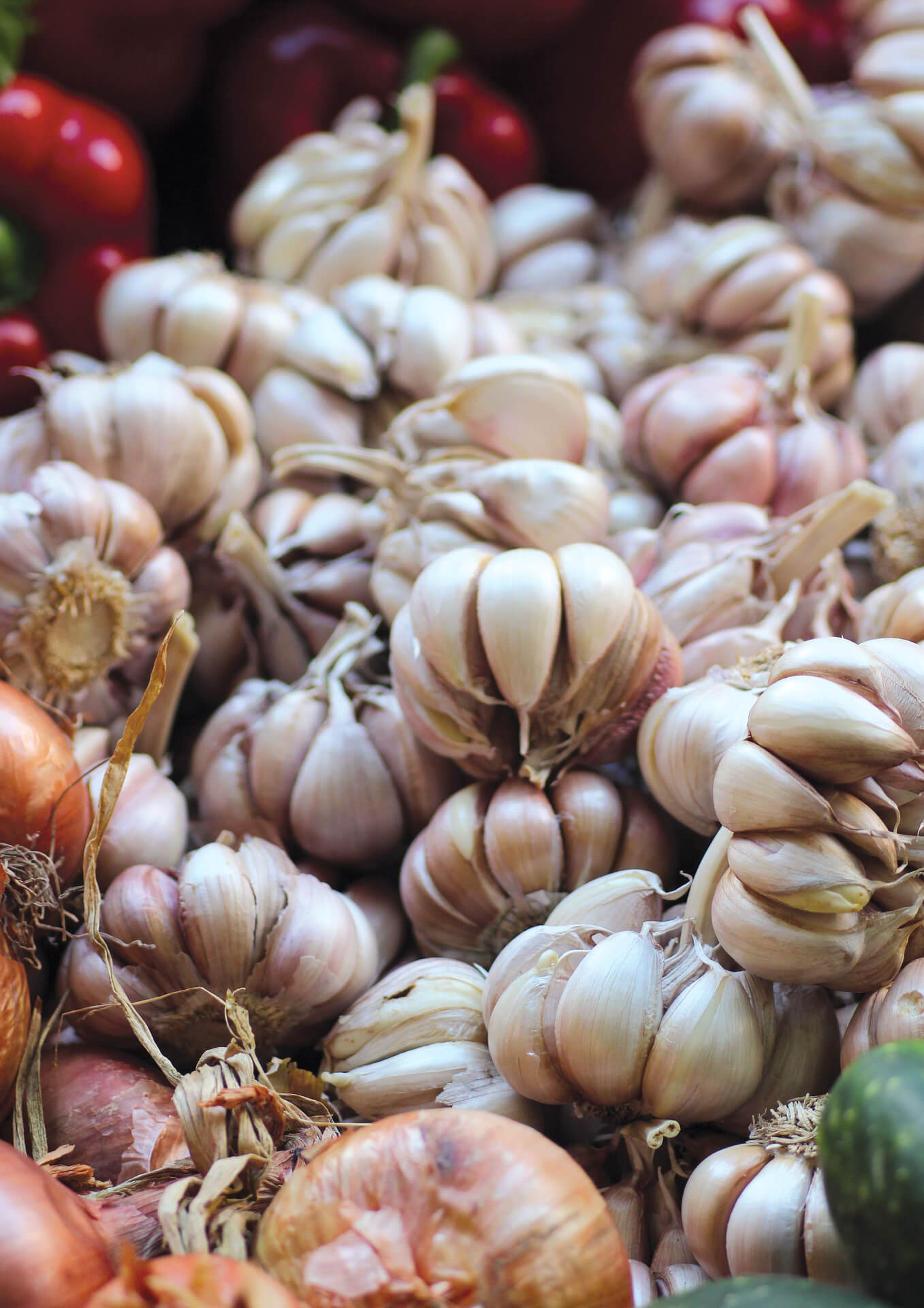 글로벌 주식 물류 규모의 경제와 네트워크 효과가 Sysco 마진 구조를 지지하는 방식