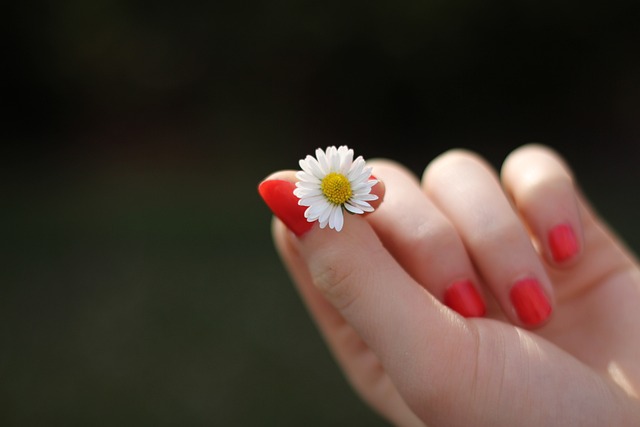 손톱과 호르몬 변화