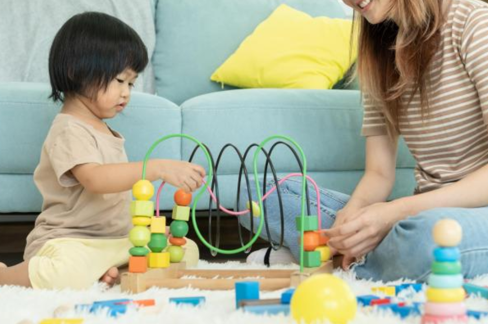 B6는 뇌 회로 형성에 필수적인 조력자